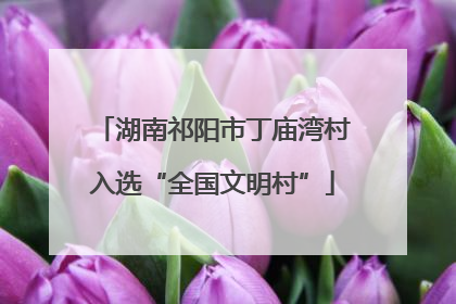 湖南祁阳市丁庙湾村入选“全国文明村”
