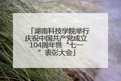 湖南科技学院举行庆祝中国共产党成立104周年暨“七一”表彰大会