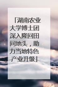 湖南农业大学博士团深入隆回田间地头，助力当地特色产业升级