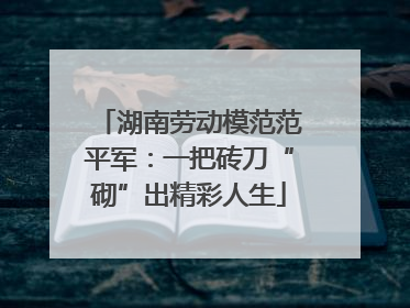 湖南劳动模范范平军：一把砖刀“砌”出精彩人生