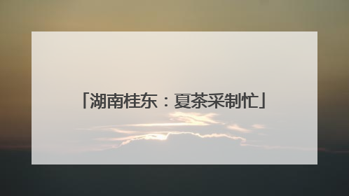 湖南桂东：夏茶采制忙