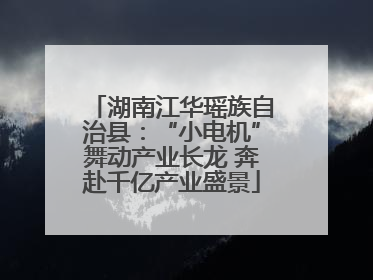 湖南江华瑶族自治县：“小电机”舞动产业长龙 奔赴千亿产业盛景