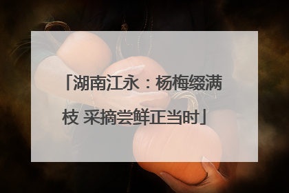 湖南江永：杨梅缀满枝 采摘尝鲜正当时