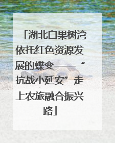 湖北白果树湾依托红色资源发展的蝶变——“抗战小延安”走上农旅融合振兴路