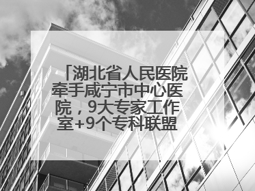 湖北省人民医院牵手咸宁市中心医院，9大专家工作室+9个专科联盟筑牢区域医疗网