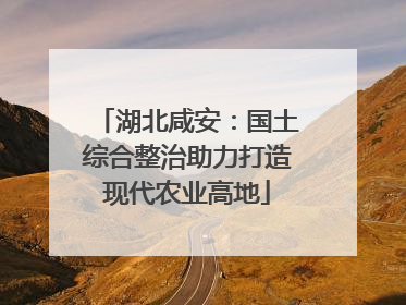 湖北咸安：国土综合整治助力打造现代农业高地