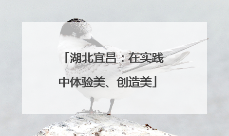 湖北宜昌：在实践中体验美、创造美