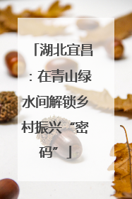 湖北宜昌：在青山绿水间解锁乡村振兴“密码”