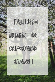 湖北堵河源国家二级保护动物添新成员