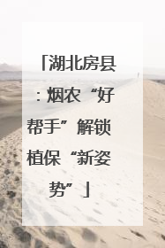 湖北房县：烟农“好帮手”解锁植保“新姿势”