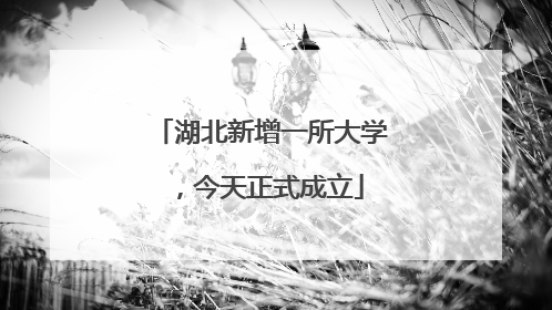 湖北新增一所大学，今天正式成立