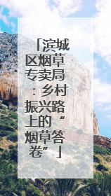 滨城区烟草专卖局：乡村振兴路上的“烟草答卷”