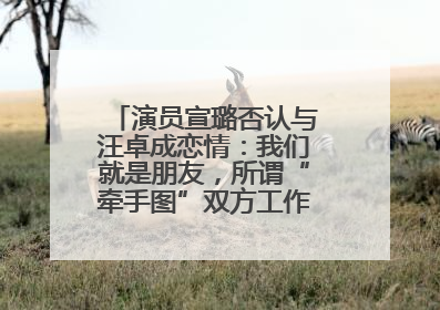 演员宣璐否认与汪卓成恋情：我们就是朋友，所谓“牵手图”双方工作人员均在场