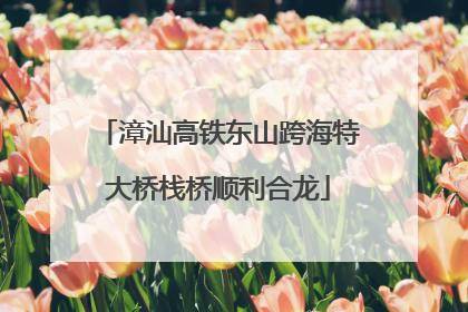 漳汕高铁东山跨海特大桥栈桥顺利合龙