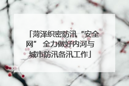 菏泽织密防汛“安全网” 全力做好内河与城市防汛备汛工作