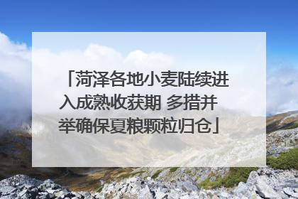 菏泽各地小麦陆续进入成熟收获期 多措并举确保夏粮颗粒归仓