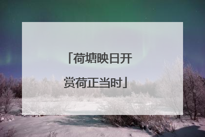 荷塘映日开 赏荷正当时