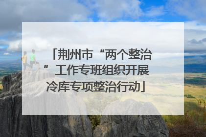 荆州市“两个整治”工作专班组织开展冷库专项整治行动