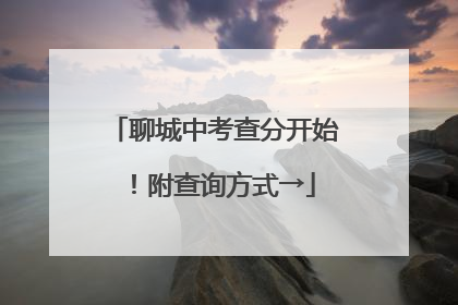 聊城中考查分开始！附查询方式→