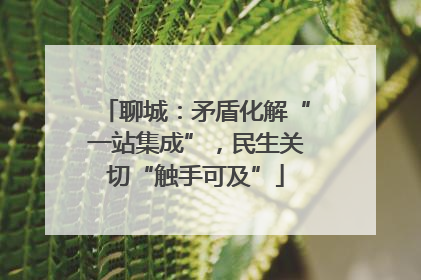 聊城：矛盾化解“一站集成”，民生关切“触手可及”