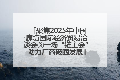 聚焦2025年中国·廊坊国际经济贸易洽谈会③一场“链主会” 助力厂商破圈发展