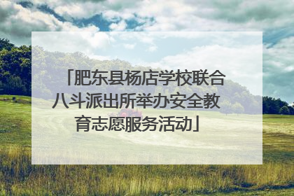 肥东县杨店学校联合八斗派出所举办安全教育志愿服务活动