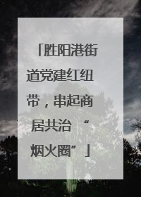 胜阳港街道党建红纽带，串起商居共治 “烟火圈”