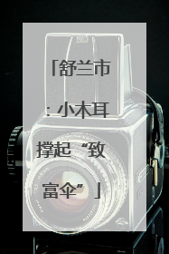 舒兰市：小木耳撑起“致富伞”