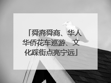 舜裔舜商、华人华侨花车巡游、文化踩街点亮宁远