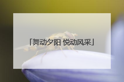 舞动夕阳 悦动风采