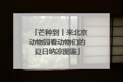 芒种到丨来北京动物园看动物们的夏日纳凉图鉴
