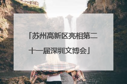 苏州高新区亮相第二十一届深圳文博会