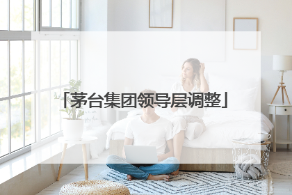 茅台集团领导层调整