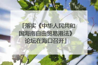 落实《中华人民共和国海南自由贸易港法》论坛在海口召开
