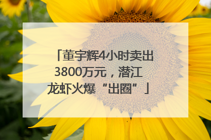 董宇辉4小时卖出3800万元，潜江龙虾火爆“出圈”