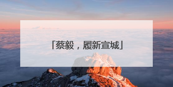 蔡毅，履新宣城