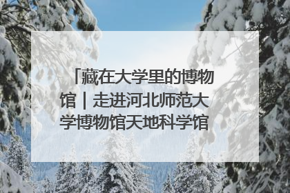 藏在大学里的博物馆｜走进河北师范大学博物馆天地科学馆：在校园里赴一场“宇宙之约”