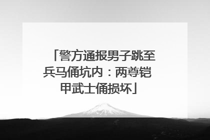 警方通报男子跳至兵马俑坑内：两尊铠甲武士俑损坏