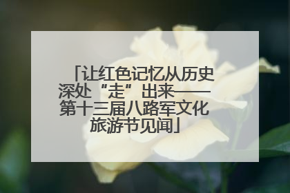 让红色记忆从历史深处“走”出来——第十三届八路军文化旅游节见闻