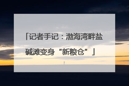 记者手记：渤海湾畔盐碱滩变身“新粮仓”