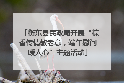 衡东县民政局开展“粽香传情敬老意，端午慰问暖人心”主题活动
