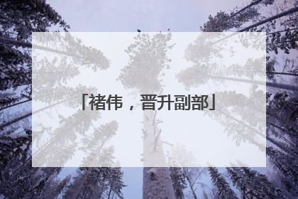 褚伟，晋升副部