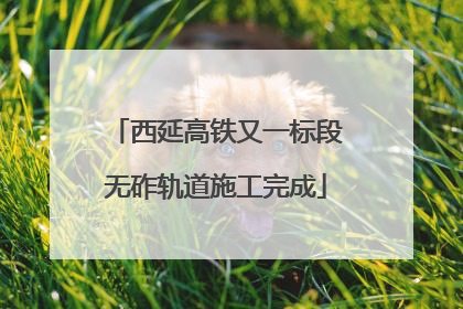 西延高铁又一标段无砟轨道施工完成
