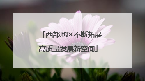西部地区不断拓展高质量发展新空间