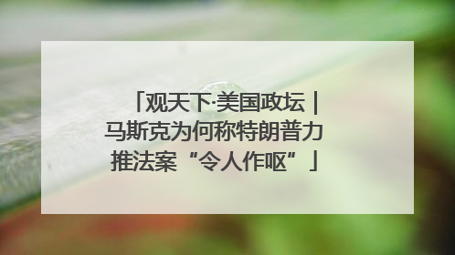 观天下·美国政坛｜马斯克为何称特朗普力推法案“令人作呕”