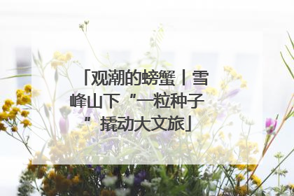 观潮的螃蟹丨雪峰山下“一粒种子”撬动大文旅