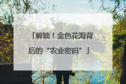 解锁！金色花海背后的“农业密码”
