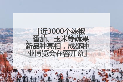 近3000个辣椒、番茄、玉米等蔬果新品种亮相，成都种业博览会在蓉开幕