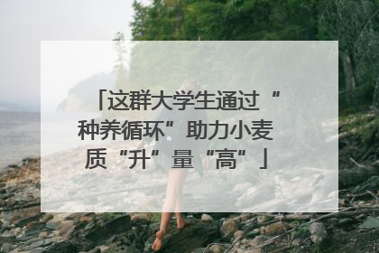 这群大学生通过“种养循环”助力小麦质“升”量“高”