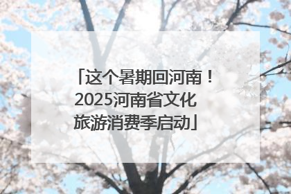 这个暑期回河南！2025河南省文化旅游消费季启动